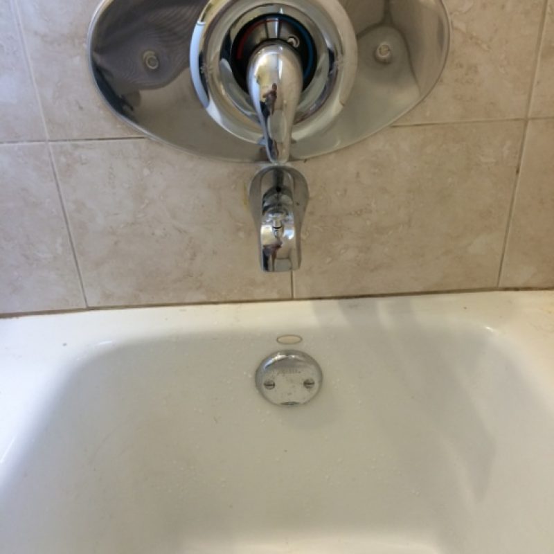 Moen Reno plate